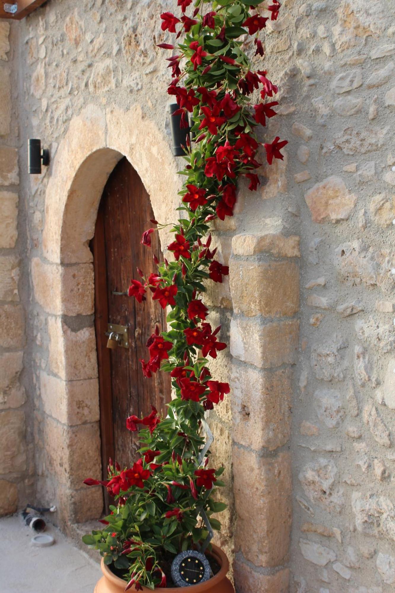 Trouli Rokka House Villa Kissamos Bagian luar foto